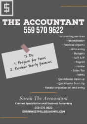 The Accountant (Bookkeeper)