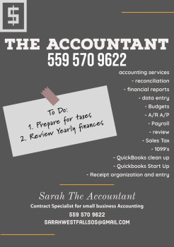 The Accountant (Bookkeeper)