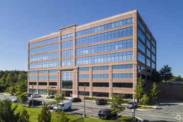 The Accounting Firm, LLC