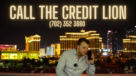 The Credit Lion