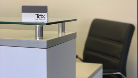 The Tax Professionals LLC