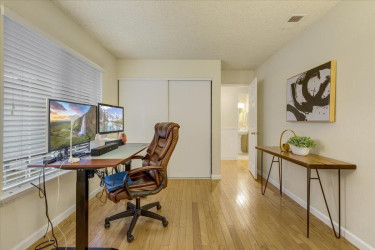 Thuy Tran - CPA* Realtor