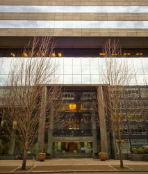 Tremper & Co., LLP