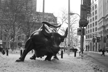 Treveri Capital LLC, Financial Advisor Jeff Martinez, CRPC