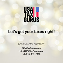 USA Tax Gurus | Tax Consultants & Accountants