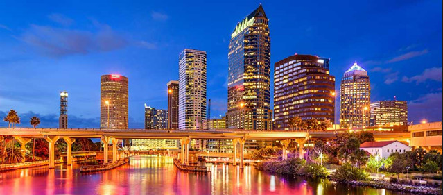 Virtual CFO Solution, LLC