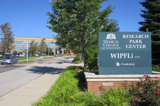Wipfli
