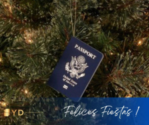 YD Tax and Immigration Services